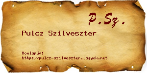 Pulcz Szilveszter névjegykártya